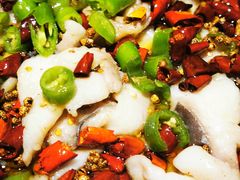 麻辣水煮鱼-青年公社烤鸭(青年路店)