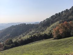 -敬亭山风景名胜区