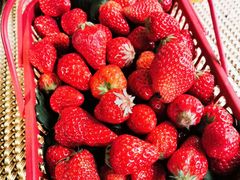 -樱桃山旅游景区