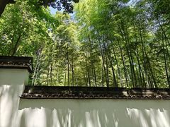 -杭州黄龙洞