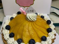 -山与蓝·轻糖鲜果蛋糕(勒泰店)