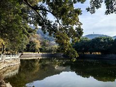 -阿育王寺