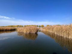 -野鸭湖国家湿地公园
