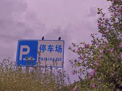 -品海楼·大连海鲜(老虎滩店)