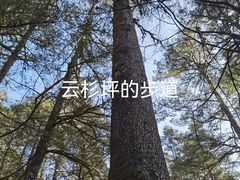 -玉龙雪山蓝月谷
