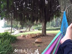 -南国桃园旅游度假区