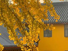 -宝通禅寺