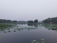 -长春市南湖公园