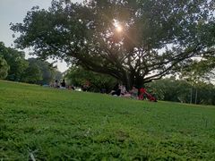 -东莞植物园
