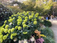 -杭州植物园