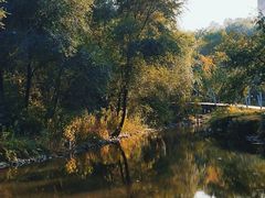 -长白岛森林公园