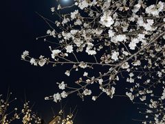 -相门城墙文化休闲景区