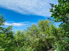 -白草畔自然风景区