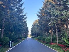 -长春市南湖公园