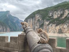 -白帝城·瞿塘峡景区