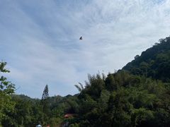 -桂山风景旅游区