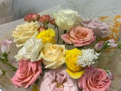 -溪岸路花鸟市场