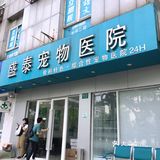 小宝贝要快点恢复健康啊