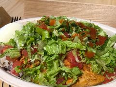 -油梨树AVOCADO TREE(嘉里中心店)