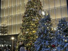 -东莞松山湖万象汇