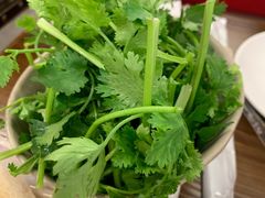 香菜-重庆鸡公煲(学衡路店)