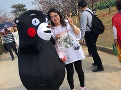 -天适樱花悠乐园
