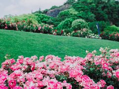 -上海辰山植物园