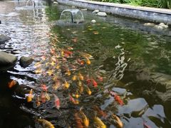 iphone_upload_pic-三亚亚龙湾五号度假别墅酒店
