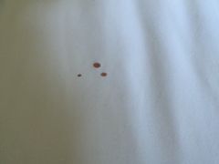 -金牛山大酒店(南北湖风景区店)