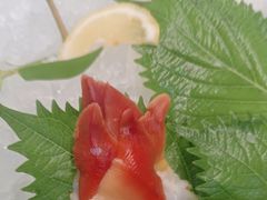 -黑松白鹿(金融街店)