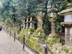 -奈良公园