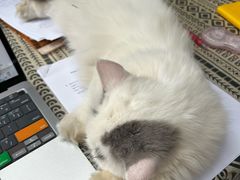 -老屋咖啡