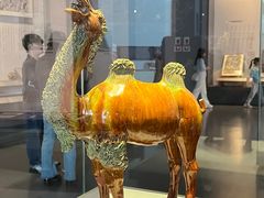 -贵州省博物馆(新馆)