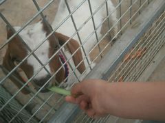 -万源龙顺度假庄园生态观光园