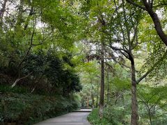 -杭州半山国家森林公园