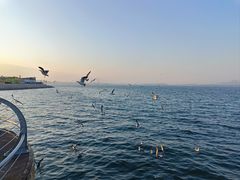 -大连海昌东方水城
