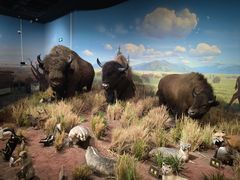 -陕西自然博物馆