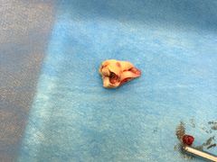 -微笑牙科口腔(三亚迎宾院区)