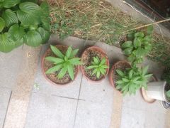 福成自助烤肉(怀柔青春路店)-福成自助烤肉(青春路店)