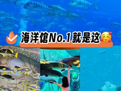 -三亚亚特兰蒂斯度假区