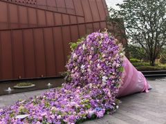 -安徽八里河旅游区