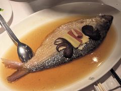 招牌鸡油花雕蒸鲥鱼-苏浙汇(肇嘉浜路总店)