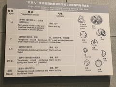 -北京周口店北京人遗址博物馆