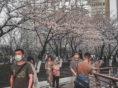 -西北湖绿化广场