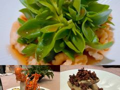 -香然会·园林雅宴(陆家嘴店)