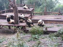 -成都尼依格罗酒店