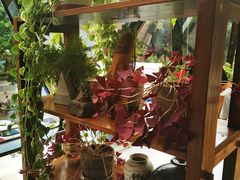 -巴别塔法餐舍(朝阳店)
