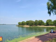 -丁香湖公园