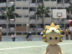-彩虹村