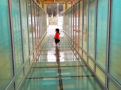 -白塘生态植物园